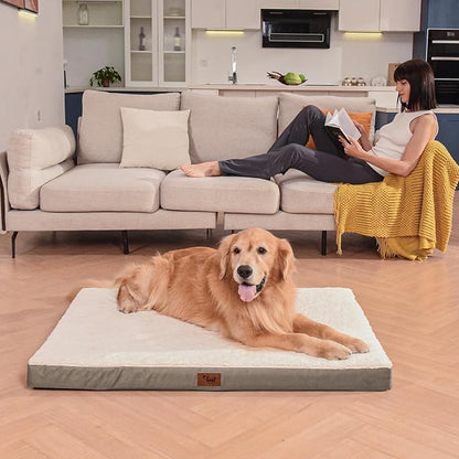 Tail Stories Orthopedic Dog Bed for Large Dogs, Plush Washable Pet Bed for Large Size Dogs with Egg Crate Foam & Removable Oxford Cover, 36x27 Inch, Khaki White
