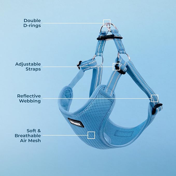 Best Pet Supplies Voyager Adjustable Step-in Flex Breathable Mesh Dog Harness for Small Medium Large Dogs (Baby Blue), XS