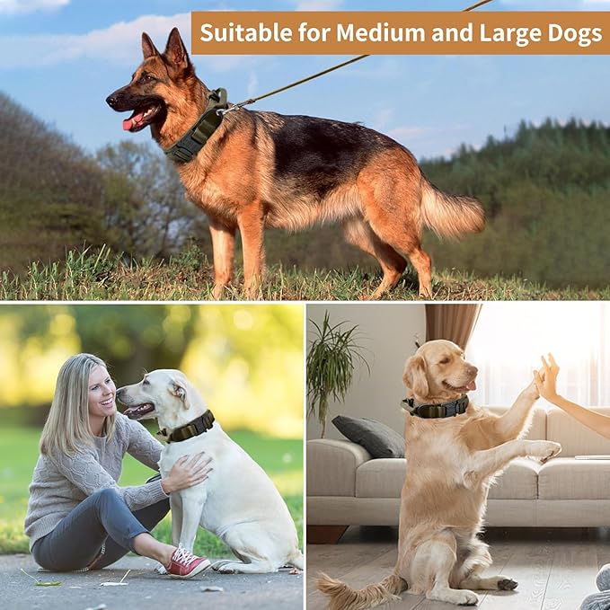 Tactical Dog Collar - Military Dog Collar, Adjustable Heavy Duty Metal Buckle Nylon Collar with Control Handle for Small Medium Large Dogs (Green, M)