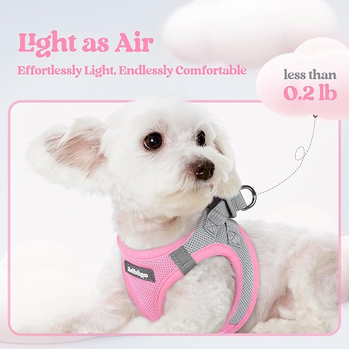 rabbitgoo Dog Harness Small Sized and Leash Set, Step in Soft Light Puppy Vest, Breathable Mesh Pet Harness, Reflective for Safe Easy Walking, Pink & Gray S