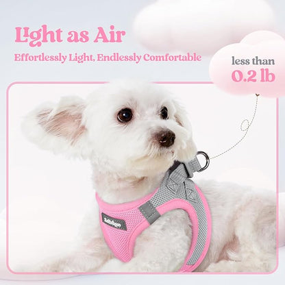 rabbitgoo Dog Harness Small Sized and Leash Set, Step in Soft Light Puppy Vest, Breathable Mesh Pet Harness, Reflective for Safe Easy Walking, Pink & Gray XS