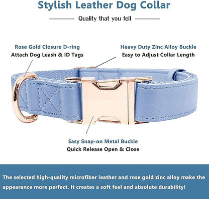 Soft Leather Dog Collar and Leash (6.6') Set - Stylish Rose Gold Heavy Duty Metal Buckle, 4 Adjustable Lengths Leash for Small Medium Large Dogs - Comfortable & Easy to Clean BluePurple M(13.8"-19.7")