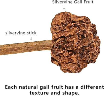 4 PCS Silvervine Stick Cat Toy with Gall Fruit – Natural Lollipop-Shaped Matatabi Chew Toy for Cats – Catnip Alternative for Teeth Cleaning, Anxiety Relief & Interactive Play – 4.8" Cat Dental Toy