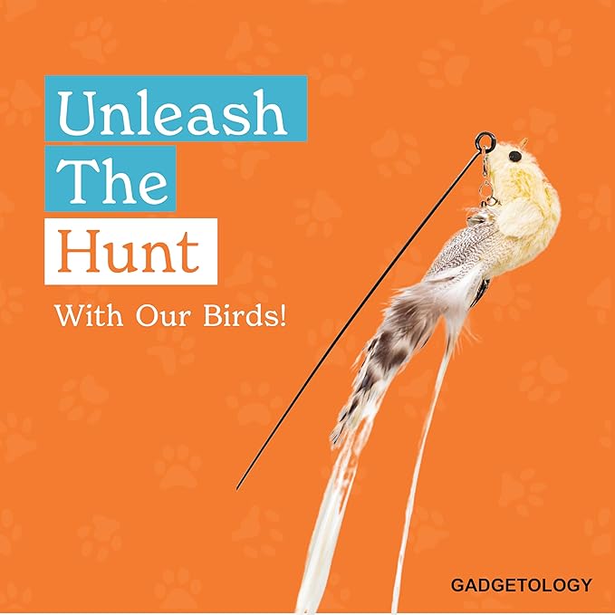 GADGETSOLOGY Interactive Bird Simulation Cat Toy Set for Bored Indoor Adult Cats Feather Toy Wand 5 Pcs Natural Bird Feathers Stable Round Base Wand Cat Toys for Indoor Cats Hunting Toys