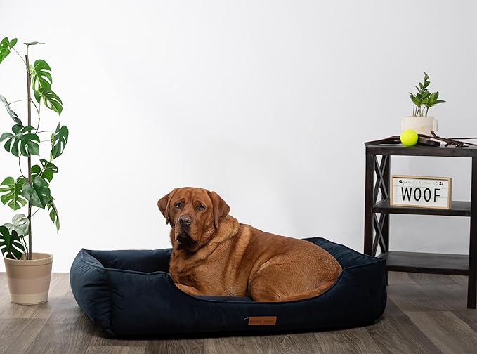 Modern Threads Luxury Dog Bed - Comfortable Tufted Velvet Cushion for Small to Large Dogs - Machine Washable - Durable & Cute Sleep Space for Pets - Pamper Your Pet with Cozy Beds - Denim