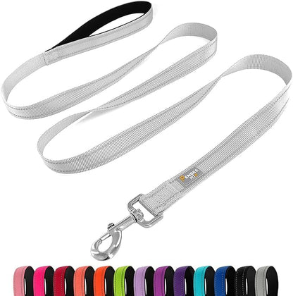 Dog Leash 6 FT Padded Handle Nylon Reflective Dogs Leashes for Small Dogs Silver