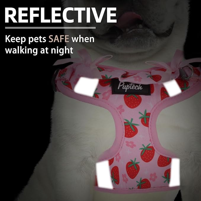 PUPTECK Dog Harness and Leash Set Small Sized, Step in No Pull Adjustable Puppy Cat Harness Reflective Pet Vest