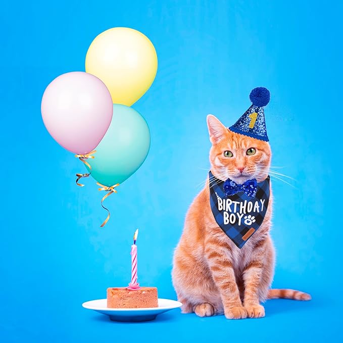 ADOGGYGO Cat Birthday Party Supplies, Birthday Boy Plaid Kitten Bandana, Blue Cat Party Hat with Numbers, Bowtie (Blue)