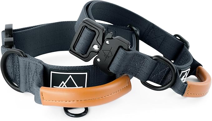 Made to ROAM Premium Explorer Control Collar - Adjustable Heavy Duty Nylon Dog Collar with Quick-Release Metal Buckle and Handle (New York Afterlight, Control Size 2.5)
