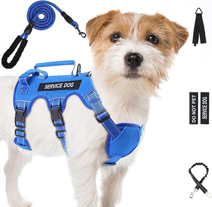 Escape Proof Dog Harness for Large Medium Sized Dogs Six Point Adjustable, Service Dog Vest Harness and Leash Set, No Pull Dogs Harnesses with Handle, Medium Dog Harnesses for Walking(Blue, S)
