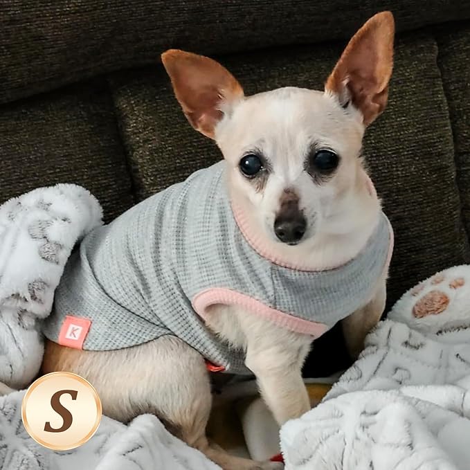KYEESE 2Pack Waffle Dog Shirts for Small Dogs Stretchy Dog T-Shirts Lightweight Pet Tank Top Sleeveless Striped Pet Shirt Vest Breathable Cat Shirt, Small, Green+Striped