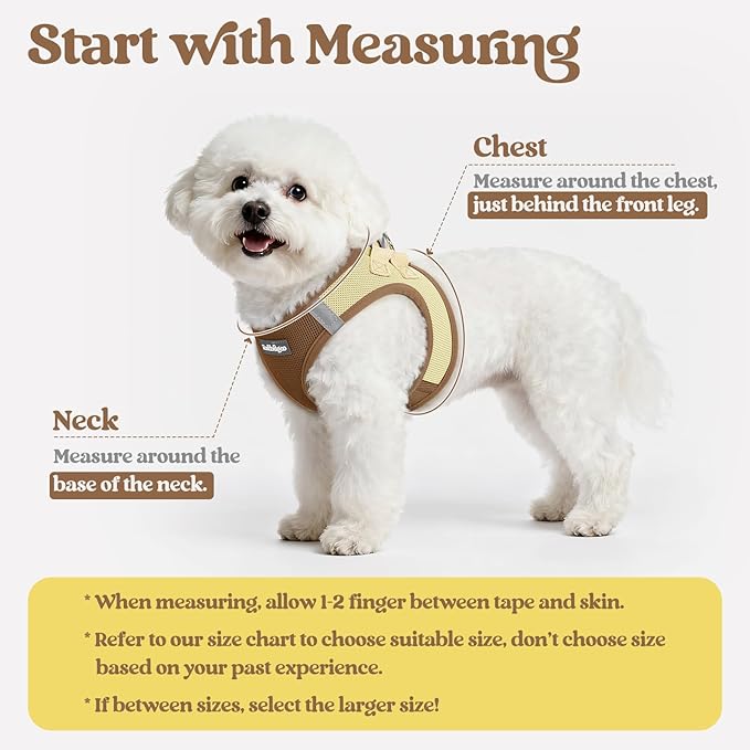rabbitgoo Dog Harness Small Sized and Leash Set, Step in Soft Light Puppy Vest, Breathable Mesh Pet Harness, Reflective for Safe Easy Walking, Brown & Beige XS