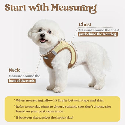 rabbitgoo Dog Harness Small Sized and Leash Set, Step in Soft Light Puppy Vest, Breathable Mesh Pet Harness, Reflective for Safe Easy Walking, Brown & Beige XS