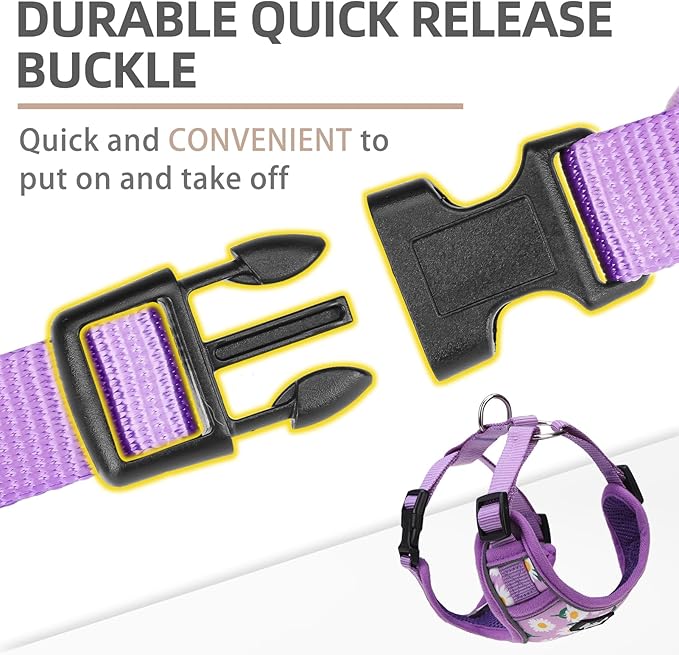 PUPTECK Small Dog Harness and Leash Set, No Pull Adjustable Puppy Cat Harness, Reflective Soft Mesh Pet Vest Small Sized, Daisy, M