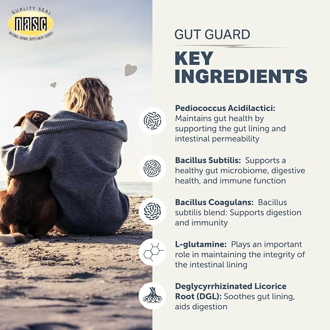 Four Leaf Rover Gut Guard - Dog Probiotics, Prebiotics, and Organic Herbs for Gut Health and Immune Support - Veterinarian Formulated - 30 Day Large Dog Supply