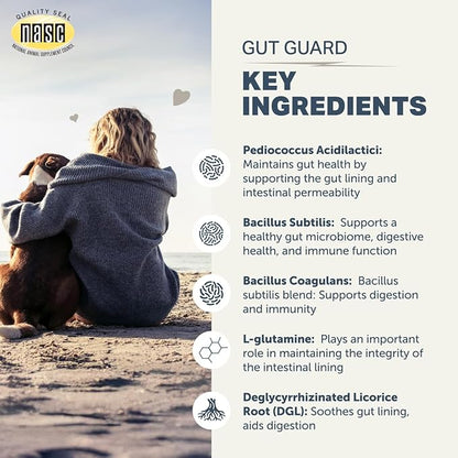 Four Leaf Rover Gut Guard - Dog Probiotics, Prebiotics, and Organic Herbs for Gut Health and Immune Support - Veterinarian Formulated - 30 Day Large Dog Supply