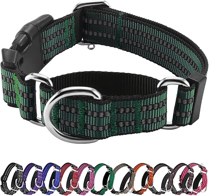Hikiko Martingale Dog Collars Reflective Nylon Dog Collar with Quick Release Buckle Adjustable Training No Slip Dog Collar (Large, Dark Green)