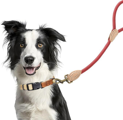 Mile High Life Short Dog Leash, Short Leash for Large Dogs, Reflective Dog Lead with w Leather Tip, Heavy Duty Leash for Large and Medium Dogs Training and Walking(Red, 18 Inch)