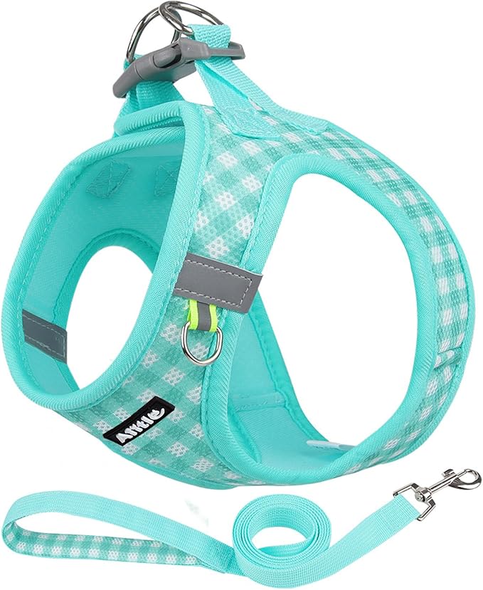 AIITLE Easy Walk Dog Vest Harness and Leash Set, Pet Supply No Pull, Breathable Mesh, Reflective Stripes, Adjustable Escape Proof Pet Outdoor Harnesses for Medium Dogs Turquoise L