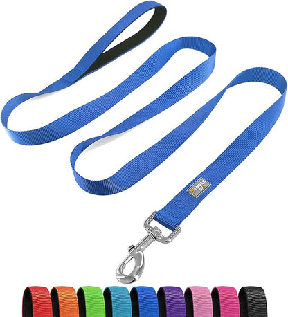 Basic Dog Leashes 6 FT Padded Handle Nylon Dogs Leashes for Medium Dogs Blue