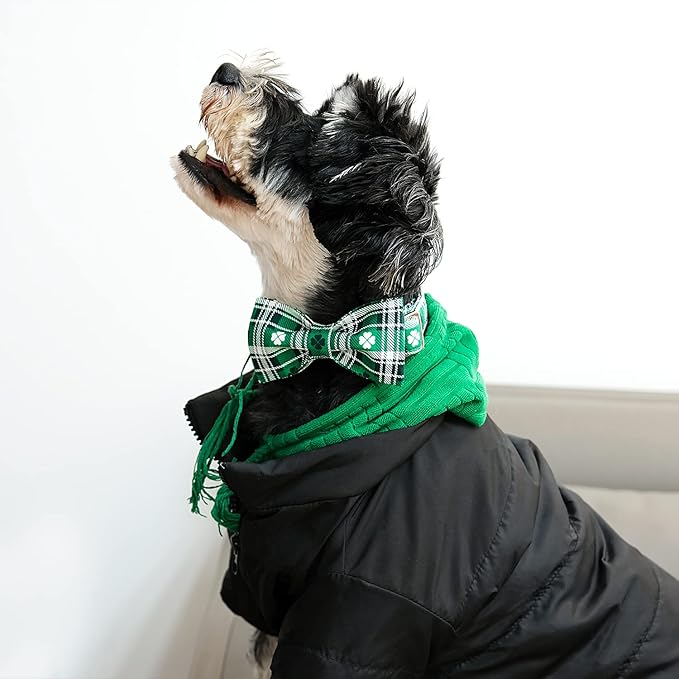 Lionet Paws St Patricks Day Dog Collar with Bowtie, Irish Green Shamrock Clover Bowtie Collar with Metal Buckle for Dogs Girl Boy, XL, Neck 16-26 in