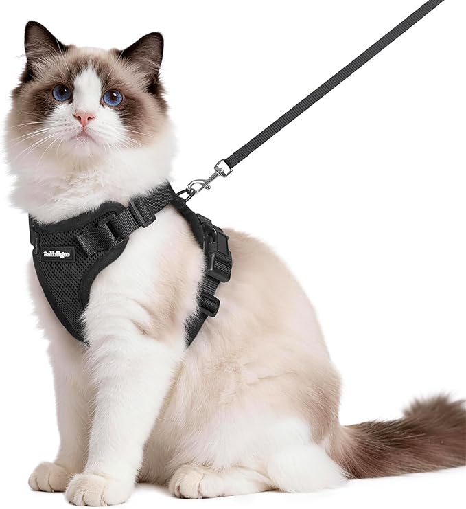 rabbitgoo Cat Harness and Leash for Walking, Escape Proof Soft Adjustable Vest Harnesses for Cats, Easy Control Breathable Reflective Strips Jacket, Black, M
