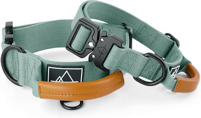 Made to ROAM Premium Explorer Control Collar - Adjustable Heavy Duty Nylon Dog Collar with Quick-Release Metal Buckle and Handle (Florida Seaside, Control Size 3)