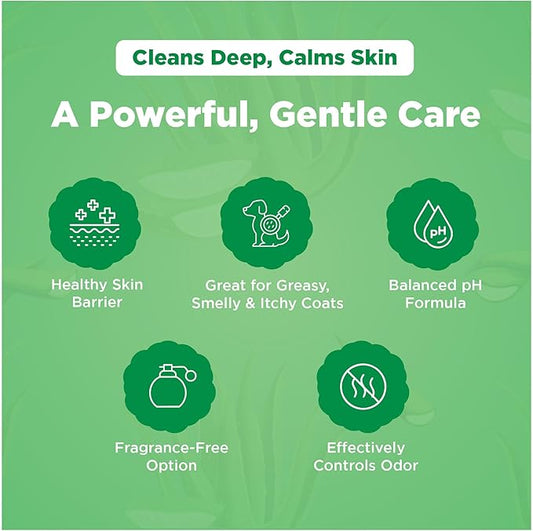 Dermafoam 16.9oz Chlorhexidine Shampoo for Allergies, Itching, Skin and Coat Supplement, Helps Shedding, Hot Spots, Paw Irritation, Rashes Deodorizing and Cleansing Dog Shampoo & Grooming Supplies