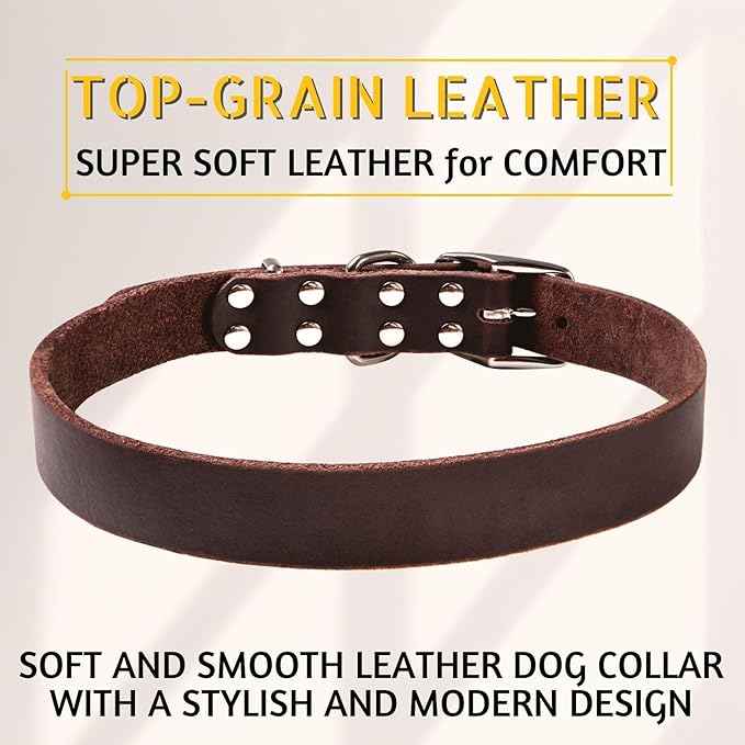 ADITYNA Leather Dog Collar for Extra-Large Dogs - Classic, Soft, Strong, Heavy Duty, Handmade Top-Grain Leather - for Walking, Training, and Hiking