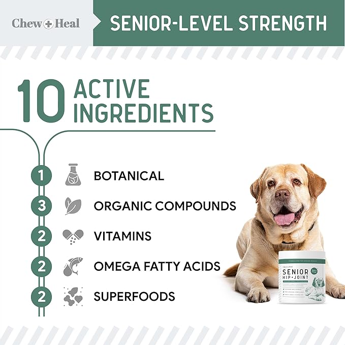 Chew + Heal Labs Glucosamine for Dogs Hip and Joint Supplement - 240 Senior Dogs Mobility Soft Chews - Made with Glucosamine, MSM, Chondroitin, Green Lipped Mussels and More - Made in The USA