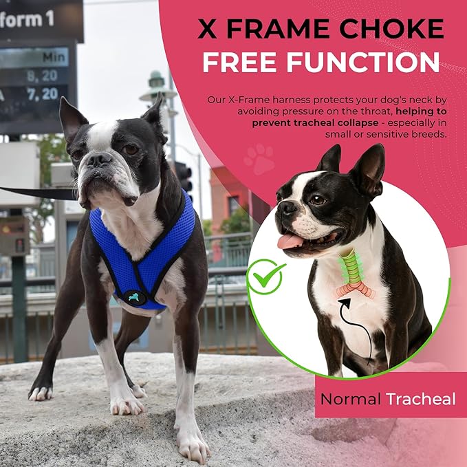 Gooby Comfort X Head In Harness - Blue, X-Large - No Pull Small Dog Harness Patented Choke-Free X Frame - Perfect on the Go Dog Harness for Medium Dogs No Pull or Small Dogs for Indoor and Outdoor Use