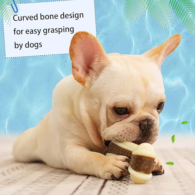 Dog Bone Chew+Latex Toys for Aggressive Chewers, 2 Pack Real Beef Flavor+1Pack Squeaky Funny Interactive Toys , Indestructible Teething Toys for Medium/Large/Small Breed, Toy With Durable Nylon