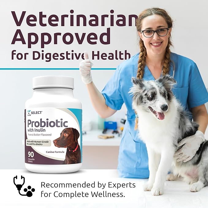 K9 Select Pet Probiotics for Dogs with Inulin – Dog probiotics for Digestive Health & Gut Support with Digestive Enzymes for Dogs, Supports Yeast Balance & Dog Digestive Support – 90 Tablets
