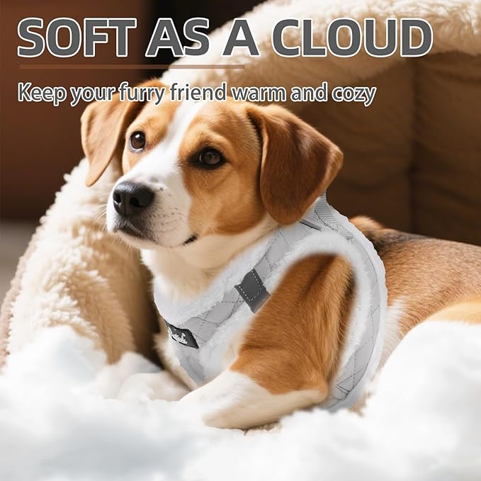 PUPTECK Plush Dog Harness and Leash Set for Small Medium Dogs No Pull Step-in Soft Mesh Puppy Cat Winter Vest Harnesses Reflective at Night Warm, Plush Grey, XS