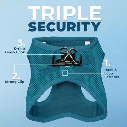 Best Pet Supplies Voyager Step-in Air Harness - All Weather Mesh, Reflective, No Pull Harness for Dogs, Cats - Secure with Hook & Loop Fastener, Buckle, Double D-Rings - Turquoise, XXS