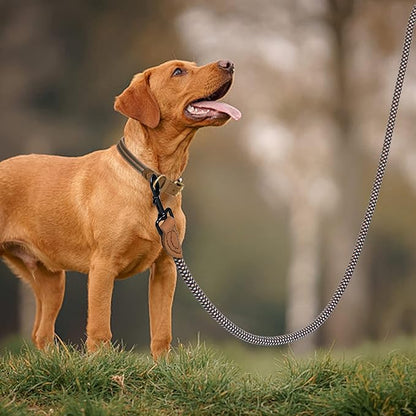 Mile High Life Rope Leash with Genuine Leather Connection, 6 FT/5 FT/4 FT, Heavy Duty Leash for Medium & Large Dogs (Brown, 60 Inch)