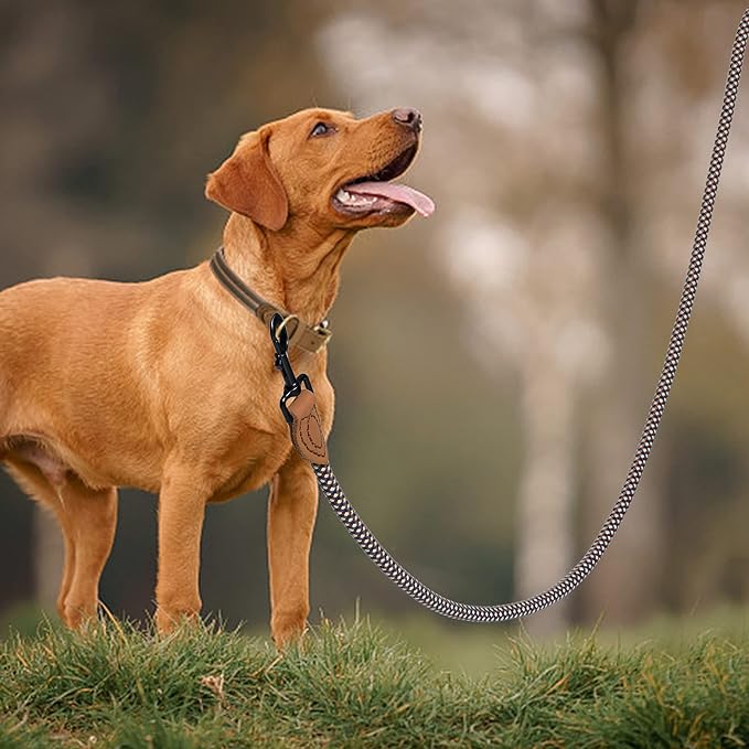 Mile High Life Rope Leash with Genuine Leather Connection, 6 FT/5 FT/4 FT, Heavy Duty Leash for Medium & Large Dogs (Brown, 48 Inch)