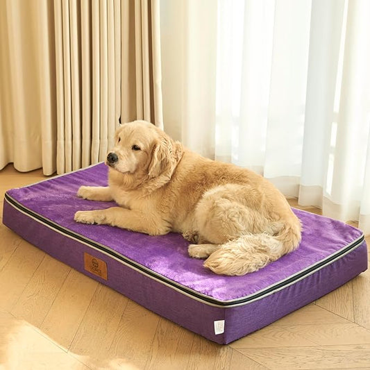 LIORCE Orthopedic Memory Foam XXL Dog Bed - 6" Thick Beds for Extra Large Sized Dog - Waterproof Removable Washable Cover & Wrap-Around Zipper - Ultimate Comfort & Easy Maintenance, Purple