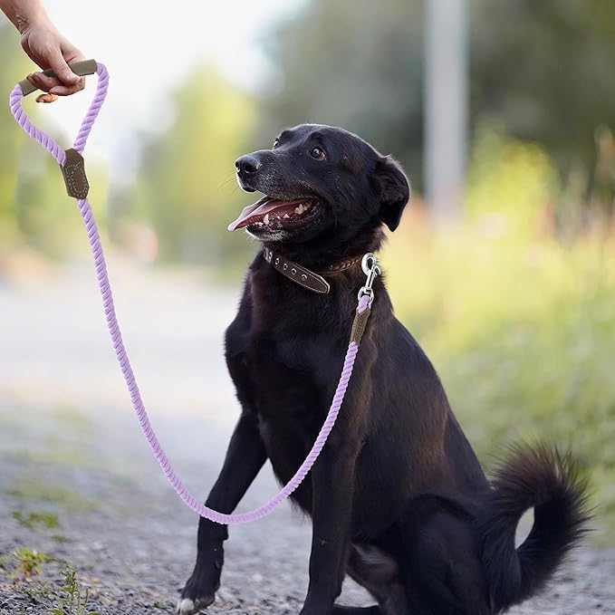 Mile High Life Dog Leash, Braided Cotton Rope Leashes with Leather Handle - Heavy Duty Metal Clasp, 6FT, 1/2" Thick - Wedding, Walking & Training Leash for Small Medium Large Dogs (Purple)