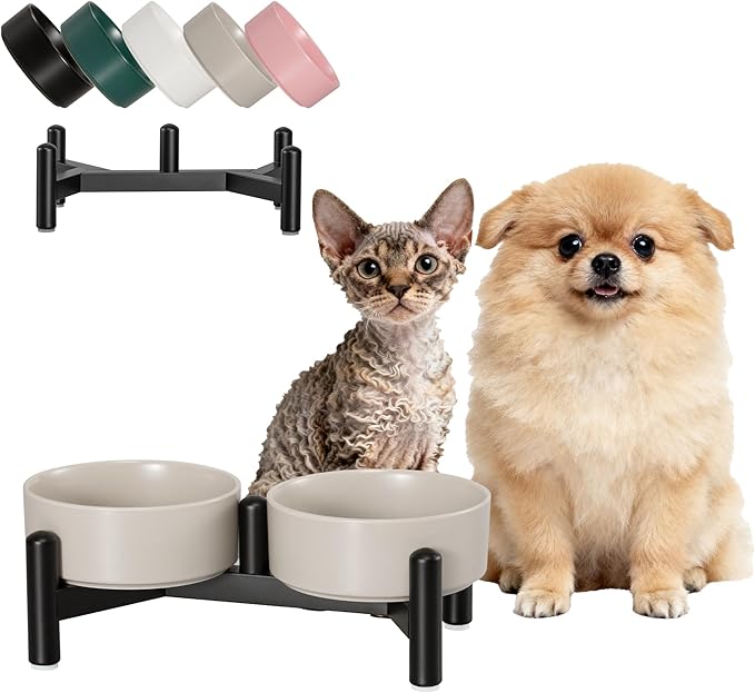 Raised Ceramic Dog Bowl Set - Elevated Double Dishes with Stainless Steel Stand - Food and Water Bowls for Small Dogs and Indoor Cats - Each Holds 1.6 Cups (10.8 fl oz) - Grey
