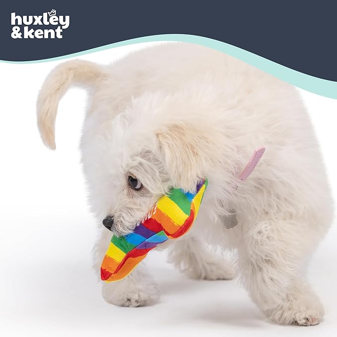 Huxley & Kent Funny Dog Toy w/Squeaker – Power Plush Squeaky Dog Toys for Small Dogs – Durable Small Stuffed Animal for Indoor Play & Fetch - Tiny Tuff Equality Bone
