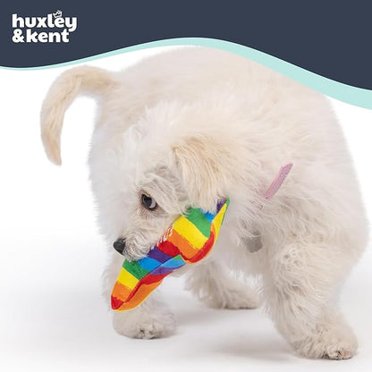 Huxley & Kent Funny Dog Toy w/Squeaker – Power Plush Squeaky Dog Toys for Small Dogs – Durable Small Stuffed Animal for Indoor Play & Fetch - Tiny Tuff Equality Bone
