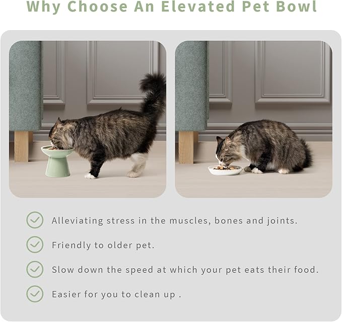 CEEFU 2 Elevated Ceramic Cat Bowls Extra Wide for Food & Water – Whisker Fatigue Shallow Food Dish, Lead & Cadmium-Free, Raised Height for Cats, Sage Green