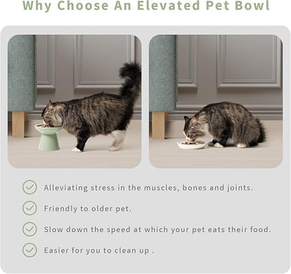 CEEFU 2 Elevated Ceramic Cat Bowls Extra Wide for Food & Water – Whisker Fatigue Shallow Food Dish, Lead & Cadmium-Free, Raised Height for Cats, Sage Green