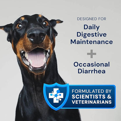 AnimalBiome Dog Probiotics - GMP Prebiotics and Probiotics - Reduce Diarrhea Flareups - for Dogs Over 40 lbs (60 Capsules) - DoggyBiome