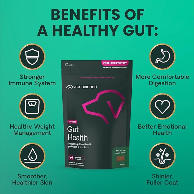 VetriScience Gut Health Chews, Probiotic Everyday Digestive Supplement for Dogs, Pet Probiotics for Digestion Support, Gas and Diarrhea, Immune Support, 1 Billion CFU Per Chew, Duck, 120 Count