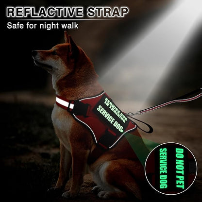 Service Dog Vest Harness and Leash Set+10 Patches,No Pull&Easy Walk Reflective Dog Harness with Soft Padded Handle for Training/Everyday,Fit Small/Medium/Large/Extra-Large Dogs (Pink L)