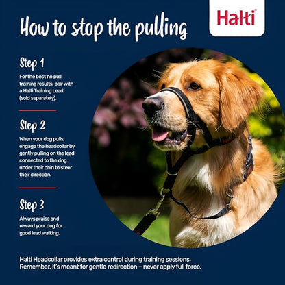 Halti Headcollar - Stop Your Dog Pulling on The Leash. Adjustable, Reflective and Lightweight, with Padded Nose Band. Dog Training Anti-Pull Collar for Medium Dogs (Size 2, Forest Green)