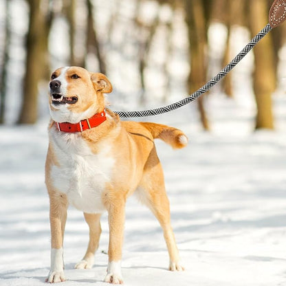 Mile High Life Rope Leash with Genuine Leather Connection, 6 FT/5 FT/4 FT, Heavy Duty Leash for Medium & Large Dogs (Black Beige, 72 Inch)