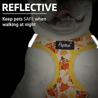 PUPTECK Dog Harness and Leash Set for Small Medium Dogs No Pull Step-in Soft Mesh Puppy Cat Vest Harnesses Reflective at Night Thanksgiving, Autumn, M